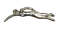 5129 - Male Swimmer