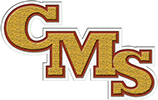 Diagonally Stacked Chenille Patch (CMS)